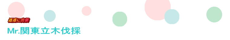 Mr.�֓����ؔ���